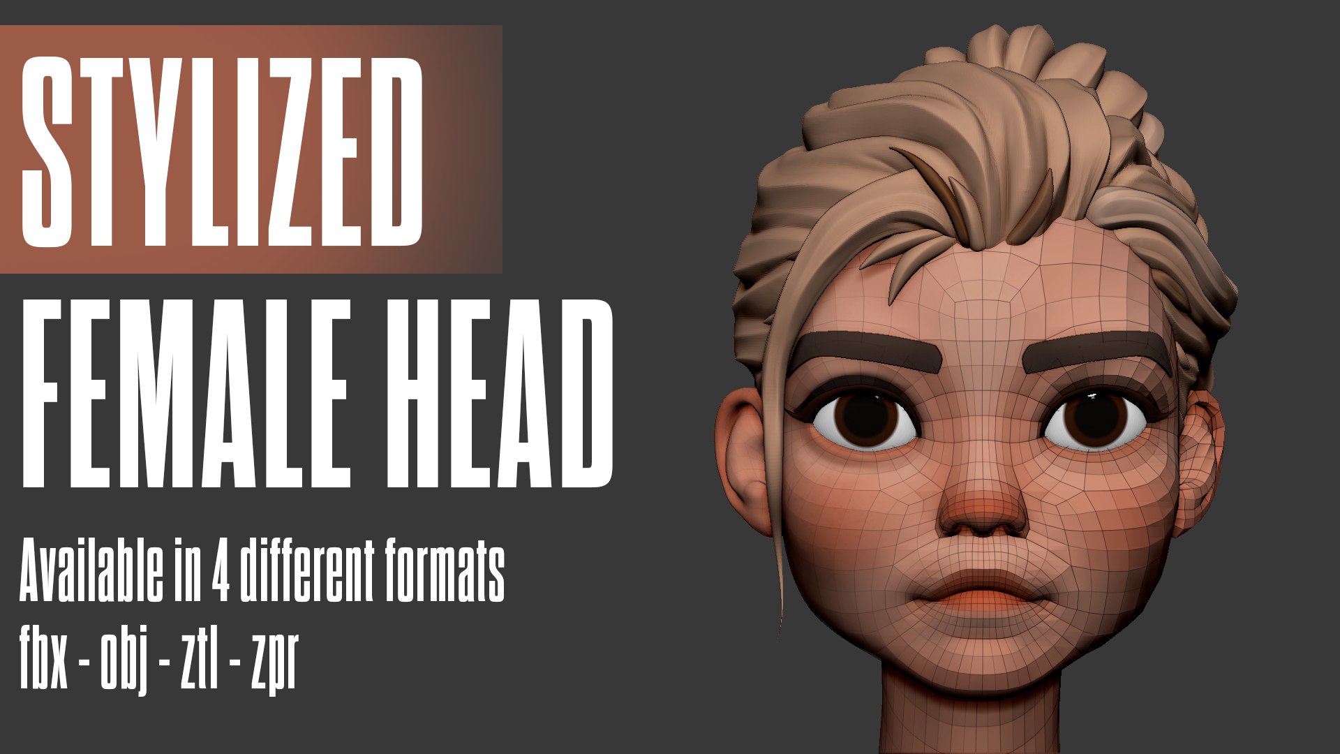 Stylized Female Head 01 3D Model - TurboSquid 2203831