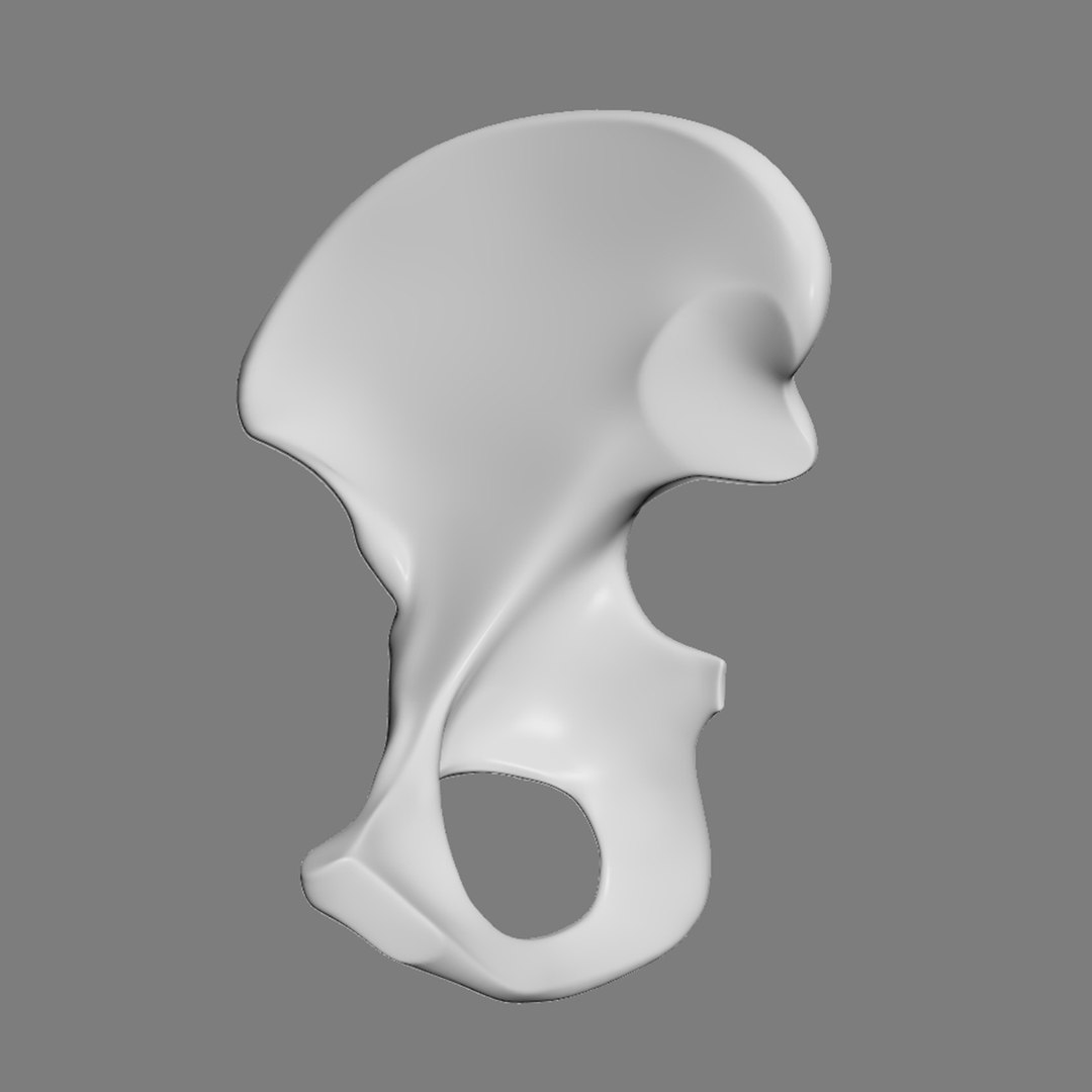 pelvis male 3D model https://p.turbosquid.com/ts-thumb/BI/oYmaLS/Wzu5vW6U/pelvis12/jpg/1605470687/1920x1080/fit_q87/2d74f16dd8afd437410f6cc7562af0457b8c226b/pelvis12.jpg