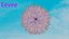 Fur ball