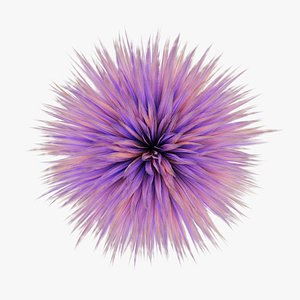 Fur ball