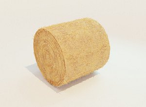 Hay Bale Round 3D Model