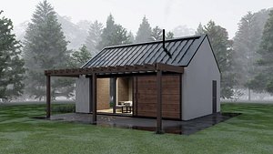 3D Modern forest house