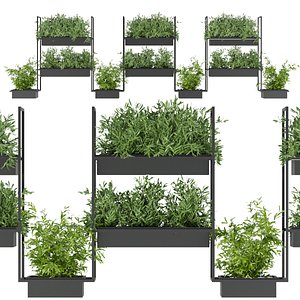 3D Collection plant vol 152
