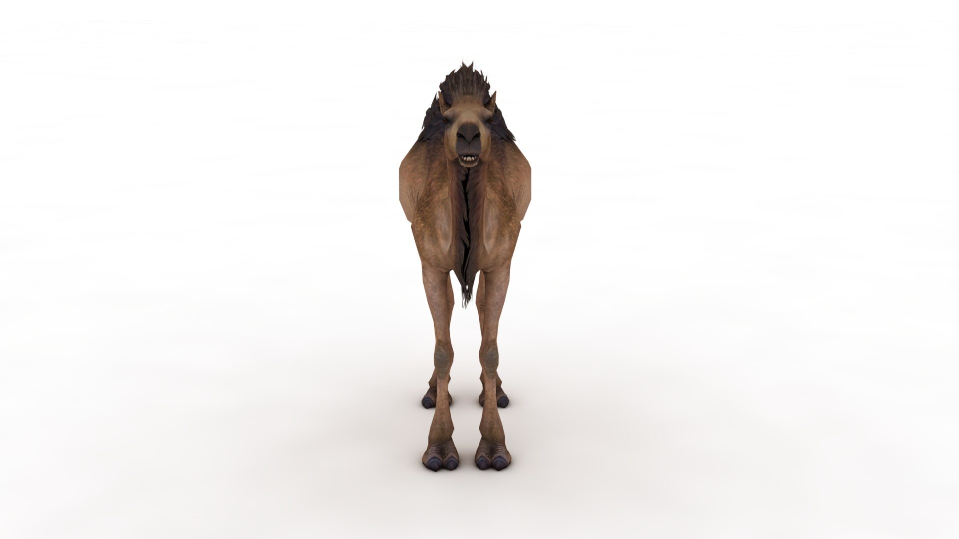 3D Camel https://p.turbosquid.com/ts-thumb/BJ/WLF1mR/Qb/dfs0003/jpg/1722870324/1920x1080/fit_q87/b658e9f178fdf1eb0e3f7040ebd9151efa4002db/dfs0003.jpg