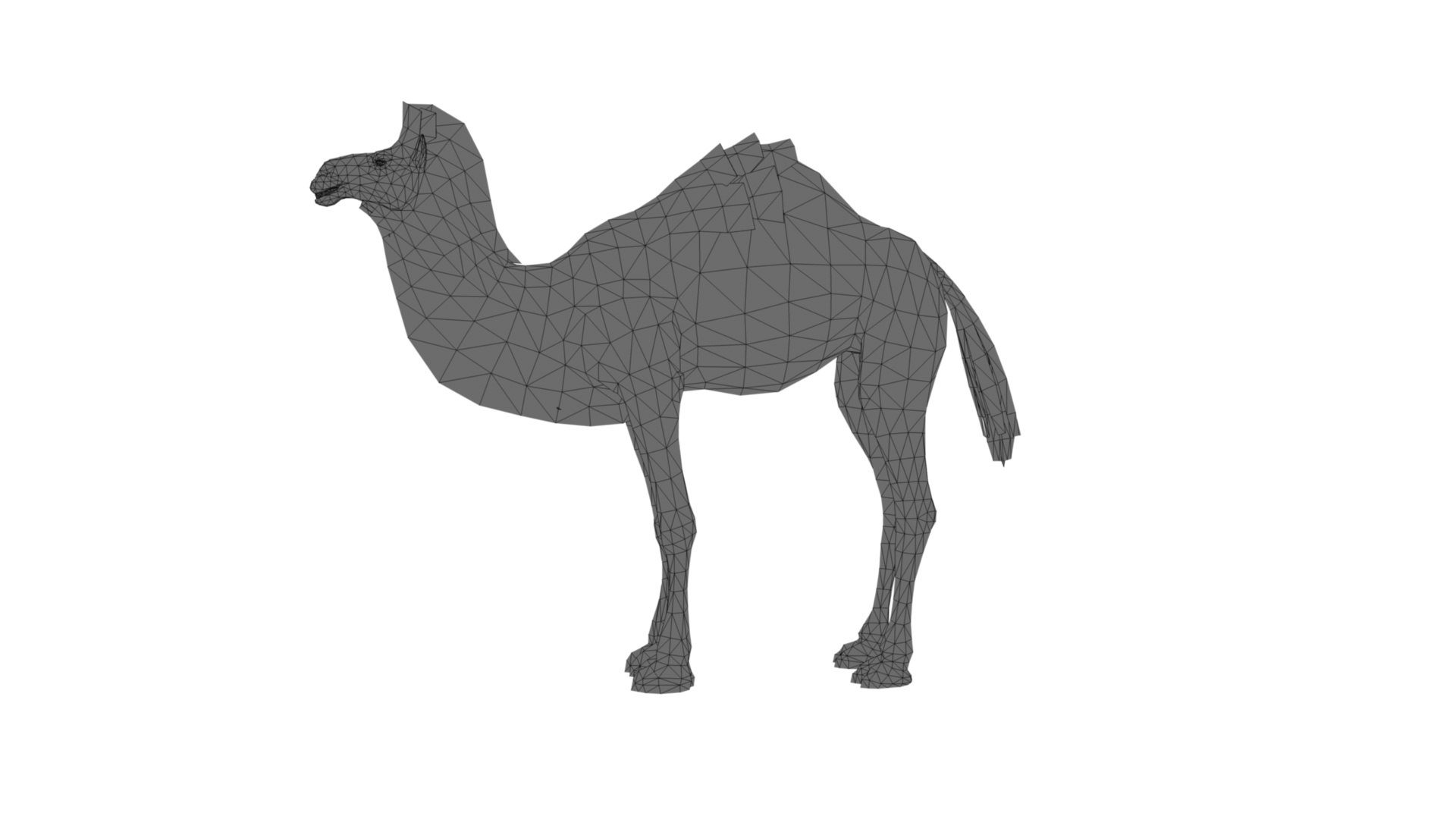 3D Camel https://p.turbosquid.com/ts-thumb/BJ/WLF1mR/eP/dfs0012/jpg/1722870330/1920x1080/fit_q87/727a8dd635c4773ccd7c8cd293bb8ac744105e14/dfs0012.jpg