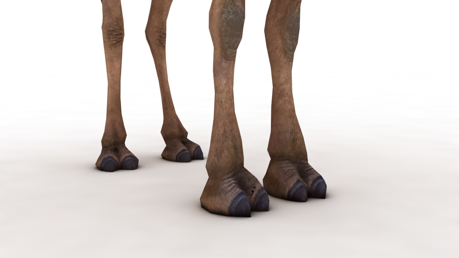 3D Camel https://p.turbosquid.com/ts-thumb/BJ/WLF1mR/fe/dfs0002/jpg/1722870323/1920x1080/fit_q87/a08f37503c171d85d477587225dd20b5d4261927/dfs0002.jpg