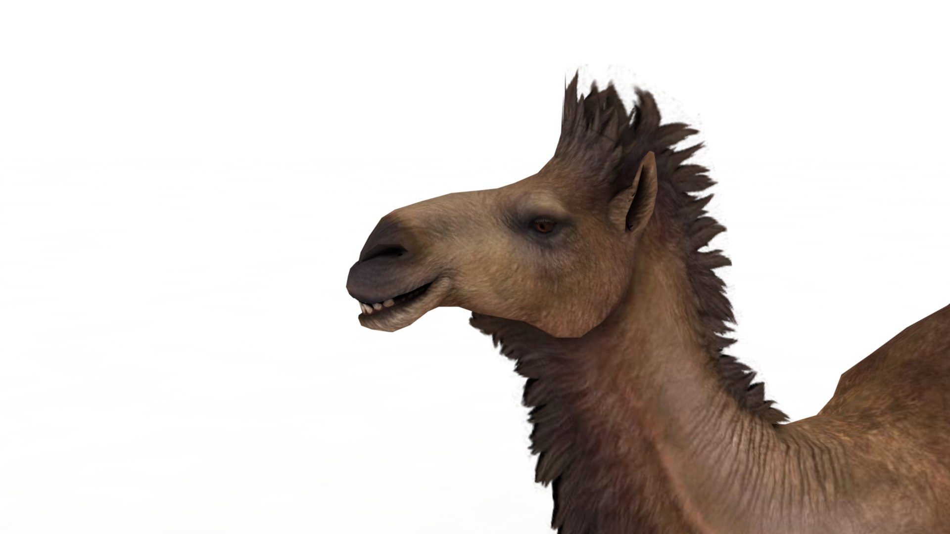 3D Camel https://p.turbosquid.com/ts-thumb/BJ/WLF1mR/gF/dfs0005/jpg/1722870326/1920x1080/fit_q87/cb98066113a6c90edc1f0a82fbbdb3ac308abca5/dfs0005.jpg