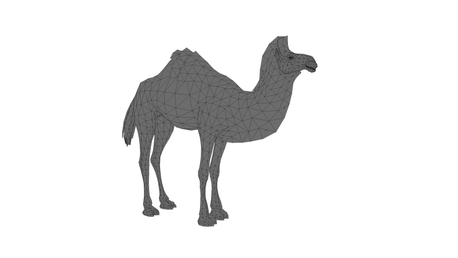 3D Camel https://p.turbosquid.com/ts-thumb/BJ/WLF1mR/tO/dfs0010/jpg/1722870329/1920x1080/fit_q87/647ad32e77e5ba17a11fa18870acafb4bb0801c1/dfs0010.jpg