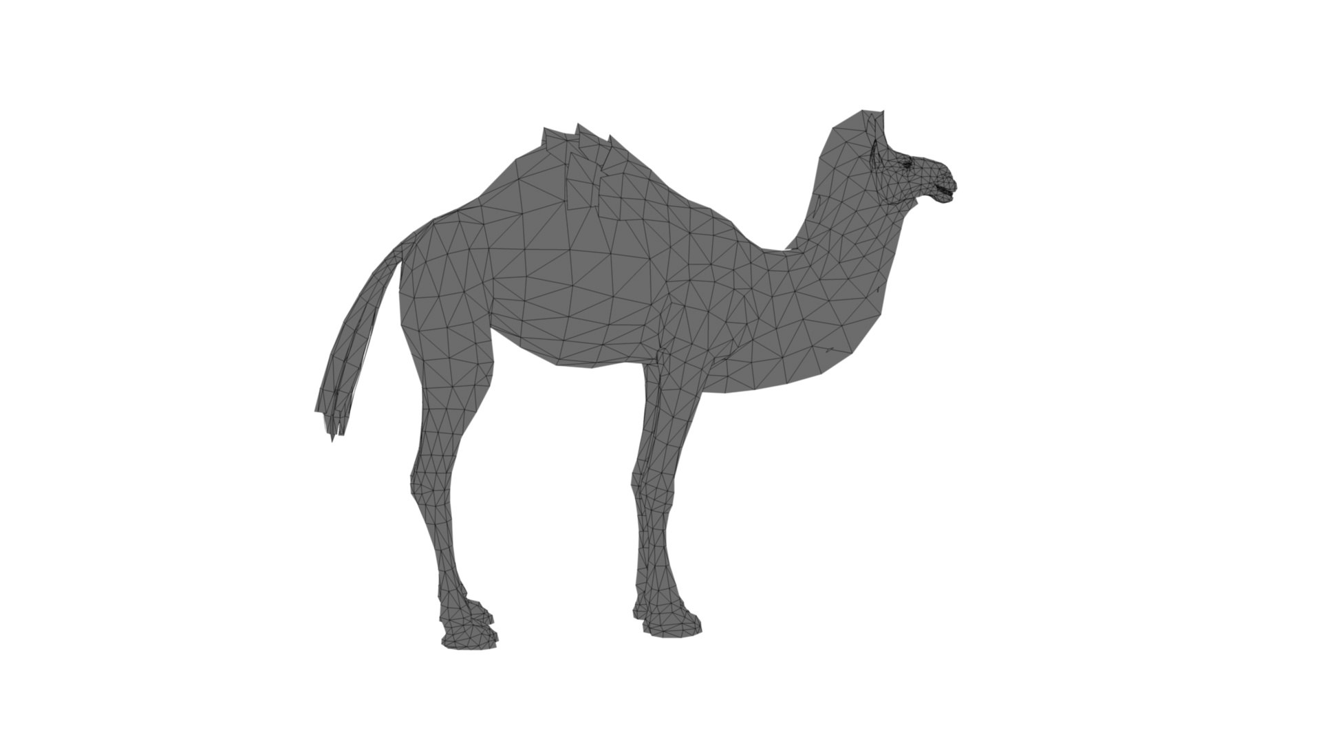 3D Camel https://p.turbosquid.com/ts-thumb/BJ/WLF1mR/zI/dfs0009/jpg/1722870328/1920x1080/fit_q87/2ce3d7b9fee09ad9a875c4d5a4940d99e0d94ab7/dfs0009.jpg