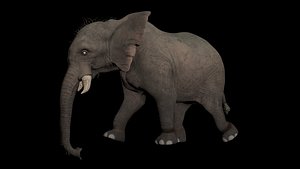 Elephant Animation model