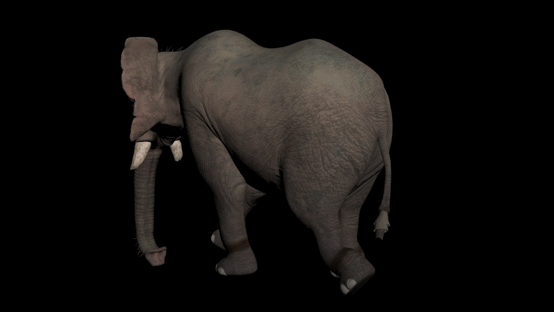 Elephant Animation Model - TurboSquid 2315421