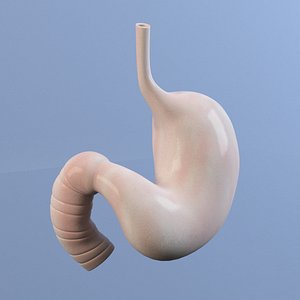 Stomach MAX 2011