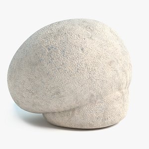 Puffball Mushroom
