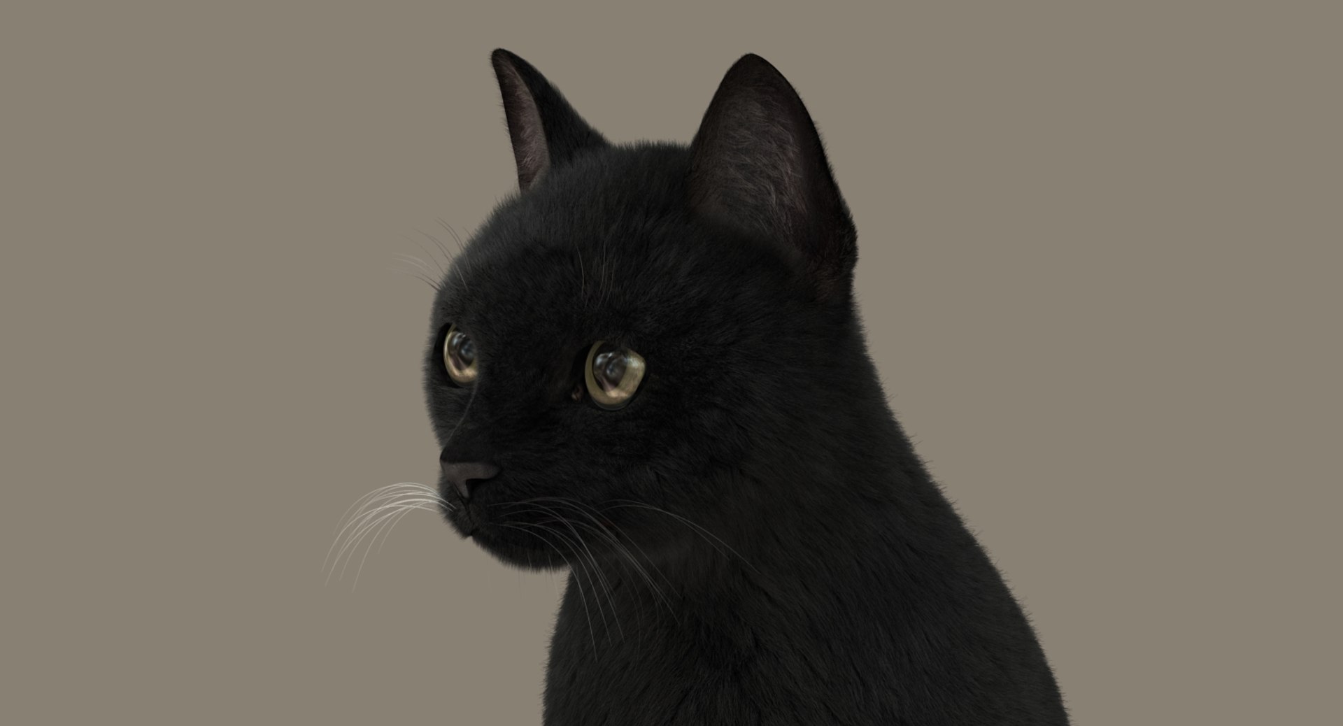 cat rigged fur 2 3D https://p.turbosquid.com/ts-thumb/BK/HxlgBW/0dckGZwQ/sit01/jpg/1531272630/1920x1080/fit_q87/c8177c98ae465d188fc99345e98cbeca80a0cfc0/sit01.jpg