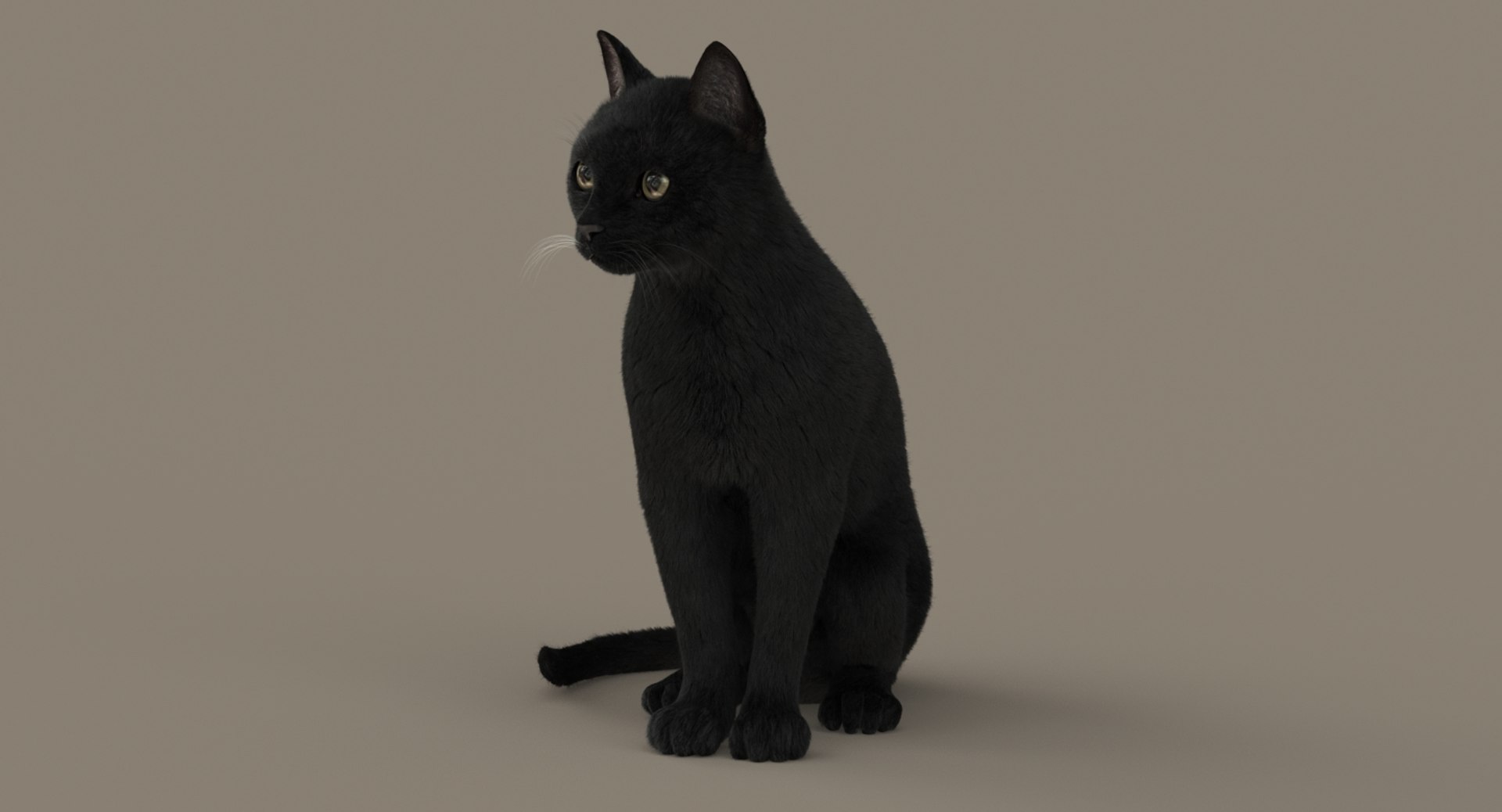 cat rigged fur 2 3D https://p.turbosquid.com/ts-thumb/BK/HxlgBW/1VYz3eLq/turn1/jpg/1531270085/1920x1080/fit_q87/6141871faae538004655d6076d6d064538b02bef/turn1.jpg