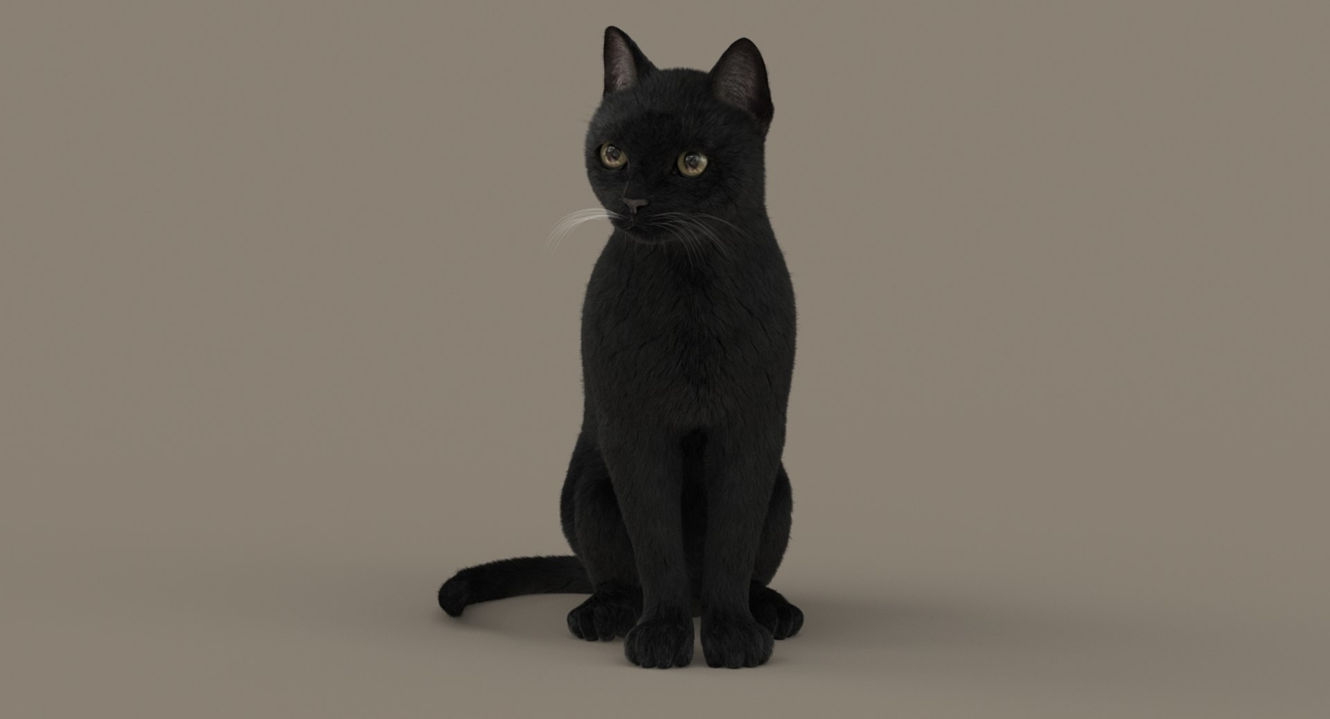 cat rigged fur 2 3D https://p.turbosquid.com/ts-thumb/BK/HxlgBW/AeWjk226/turn3/jpg/1531270085/1920x1080/fit_q87/a9281abefabd916cfb839b765cff91fbb9a0aa77/turn3.jpg