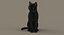 Gato (2) (preto) (RIG) (FUR)