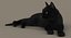 Gato (2) (preto) (RIG) (FUR)