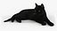 Gato (2) (preto) (RIG) (FUR)
