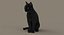 Gato (2) (preto) (RIG) (FUR)