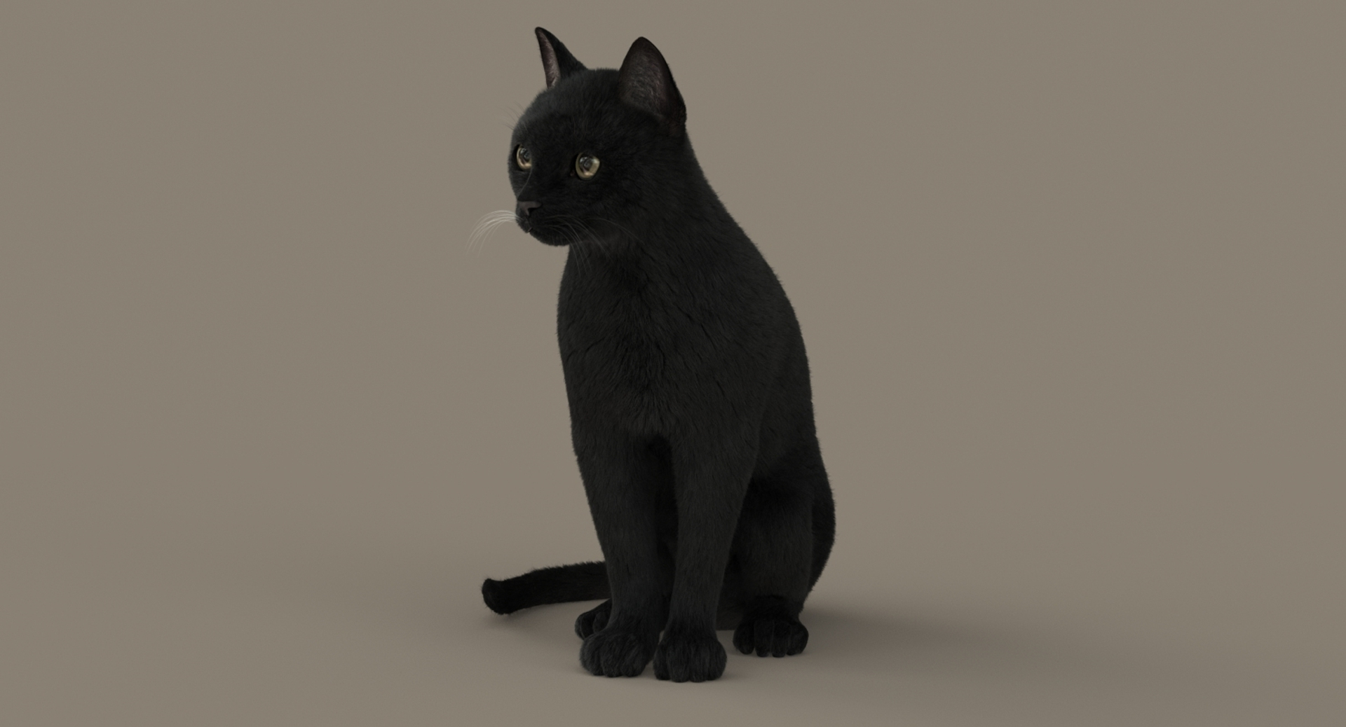 cat rigged fur 2 3D https://p.turbosquid.com/ts-thumb/BK/HxlgBW/LVKgbVHE/turnsit/jpg/1531270240/1920x1080/turn_fit_q99/b9580b63c8c32a763f6a49b2bc03206dc03d0150/turnsit-1.jpg