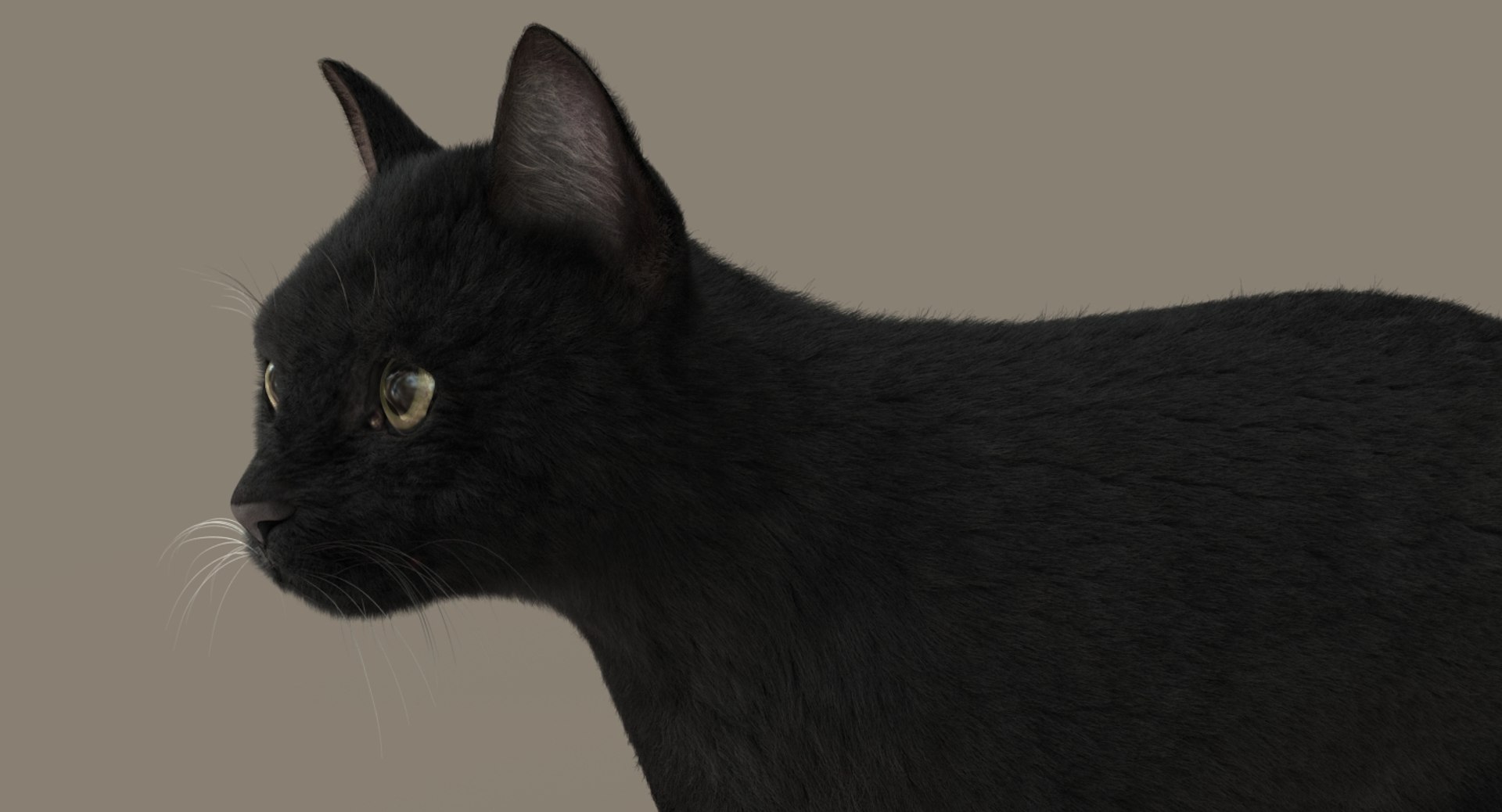 cat rigged fur 2 3D https://p.turbosquid.com/ts-thumb/BK/HxlgBW/PbPWyfkZ/02/jpg/1531270084/1920x1080/fit_q87/80828700a93e2eedb90a61bec92e47826de5c0c7/02.jpg
