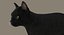 Gato (2) (preto) (RIG) (FUR)