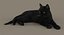 Gato (2) (preto) (RIG) (FUR)