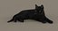 Gato (2) (preto) (RIG) (FUR)