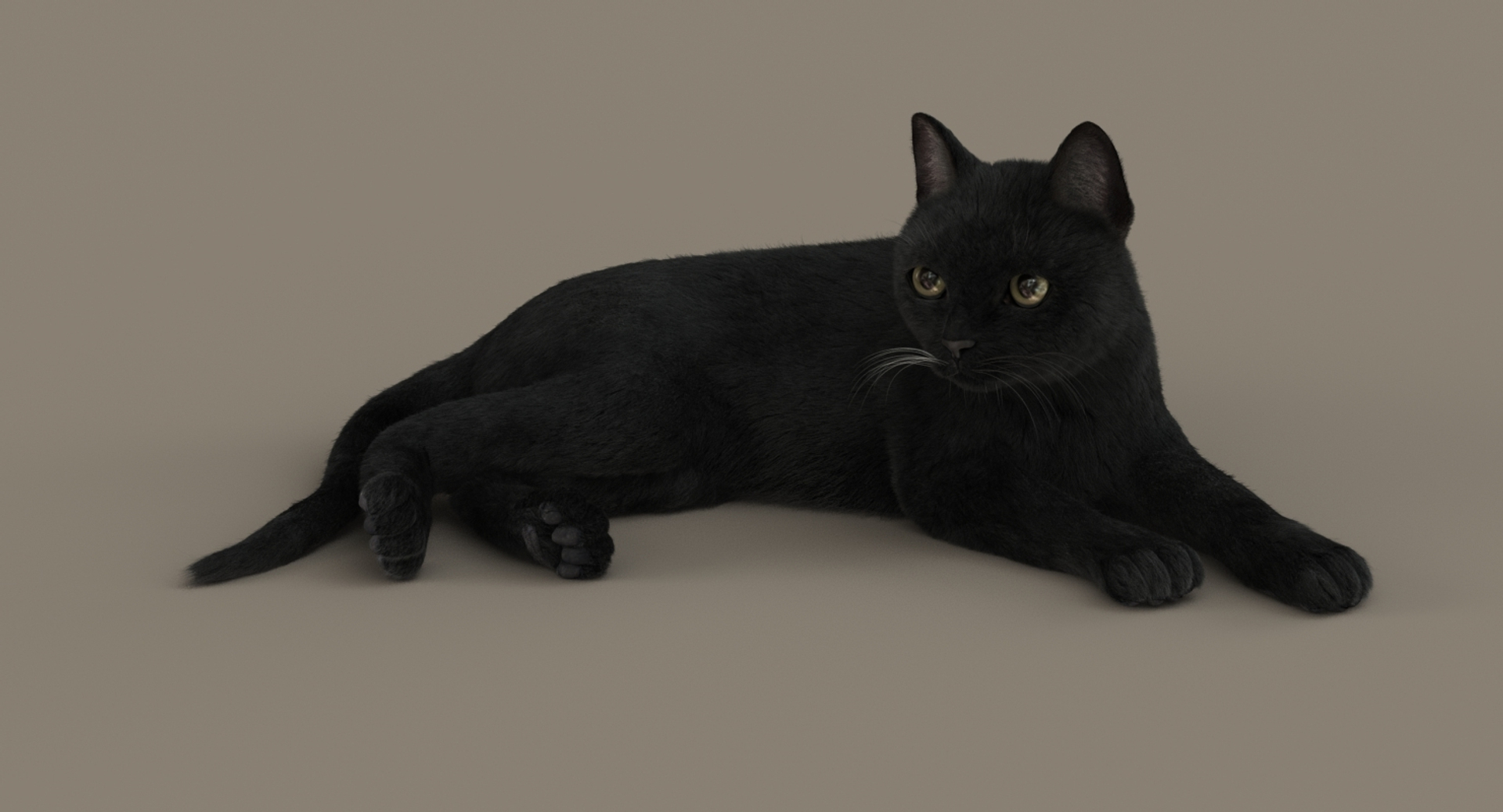 cat rigged fur 2 3D https://p.turbosquid.com/ts-thumb/BK/HxlgBW/U5DGnxIW/turn/jpg/1531270158/1920x1080/turn_fit_q99/8a336bc869d8ae7dac7ba7a95c028049508b4f9f/turn-1.jpg