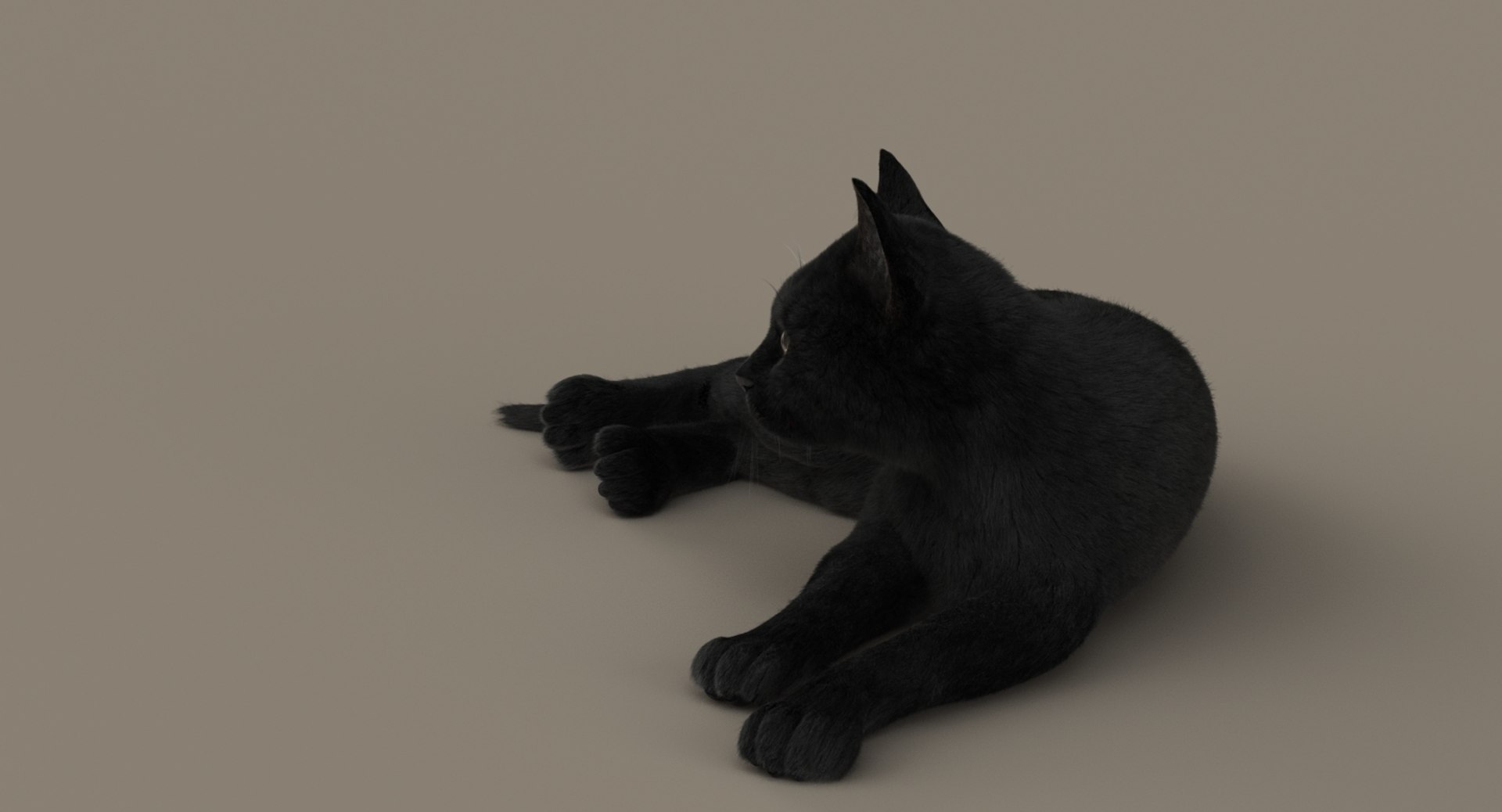 cat rigged fur 2 3D https://p.turbosquid.com/ts-thumb/BK/HxlgBW/dncphAqi/turn30/jpg/1531272681/1920x1080/fit_q87/358c8dcfd40ca7d67f4b0241d6f10d8bdc6b623f/turn30.jpg