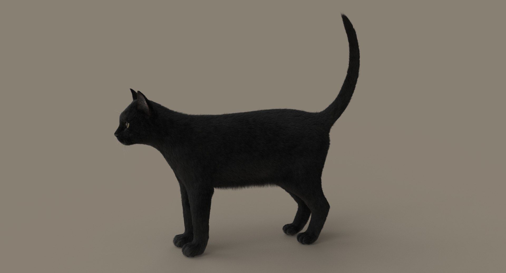cat rigged fur 2 3D https://p.turbosquid.com/ts-thumb/BK/HxlgBW/jp84j7UG/01/jpg/1531270084/1920x1080/fit_q87/4d3c4330b952c1e63c818b912f5ce08a519410e0/01.jpg