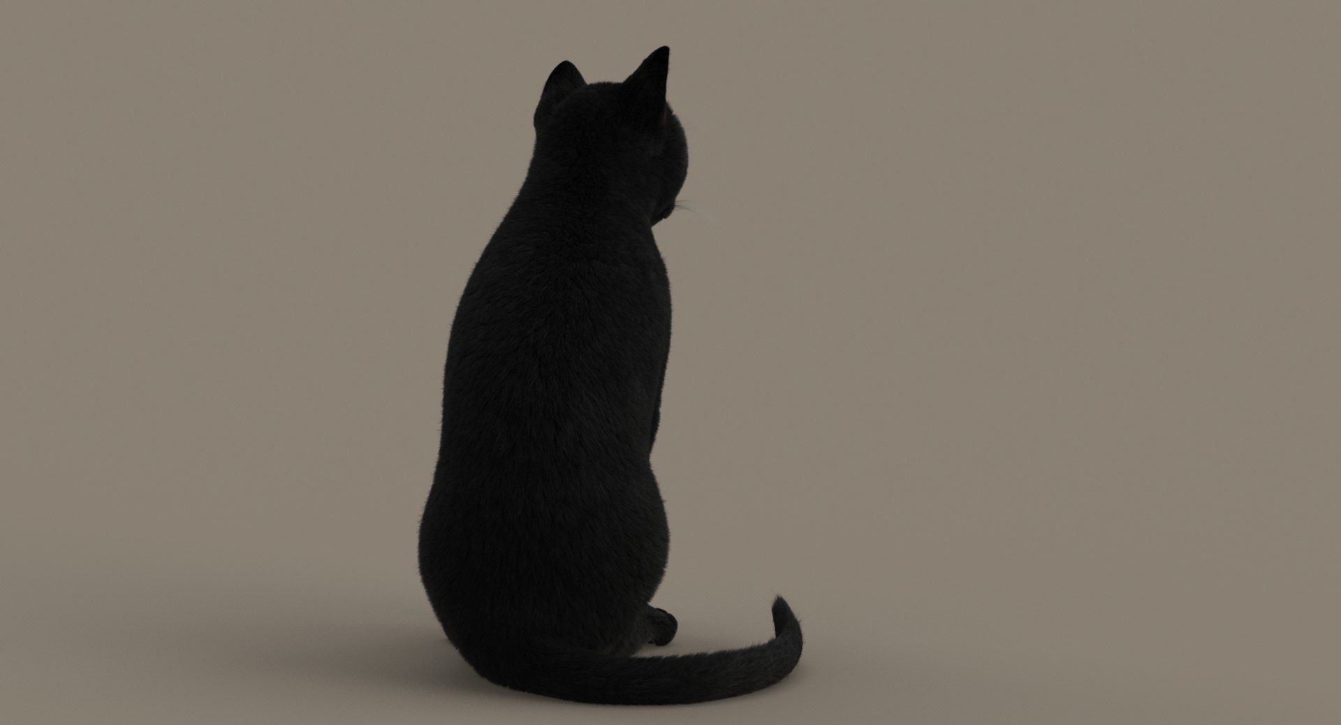 cat rigged fur 2 3D https://p.turbosquid.com/ts-thumb/BK/HxlgBW/mRYOaxLN/turn20/jpg/1531272592/1920x1080/fit_q87/e44c7f9043bd3deabdf029ae39f2fb871eb79afd/turn20.jpg