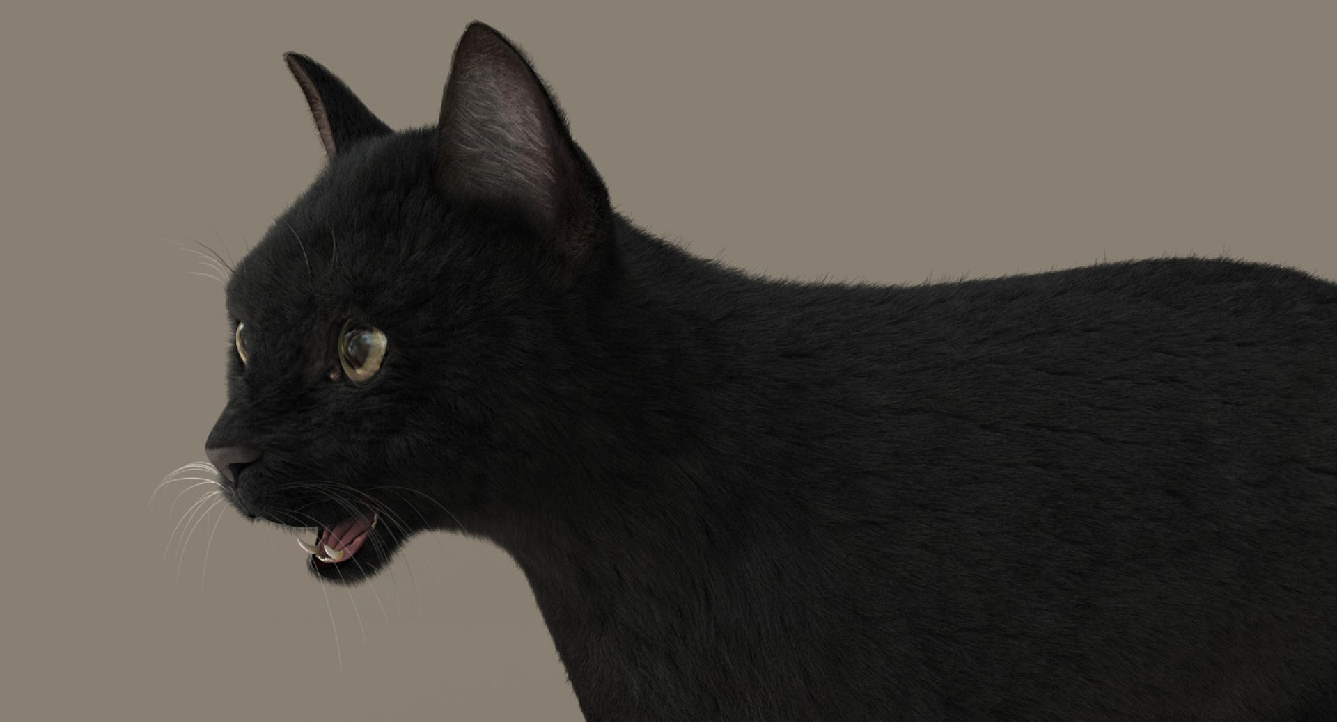 cat rigged fur 2 3D https://p.turbosquid.com/ts-thumb/BK/HxlgBW/tHu4CRxz/03/jpg/1531270084/1920x1080/fit_q87/8b8fb14ff8654ebc7789182f2be19a6b982e4728/03.jpg