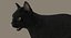 Gato (2) (preto) (RIG) (FUR)