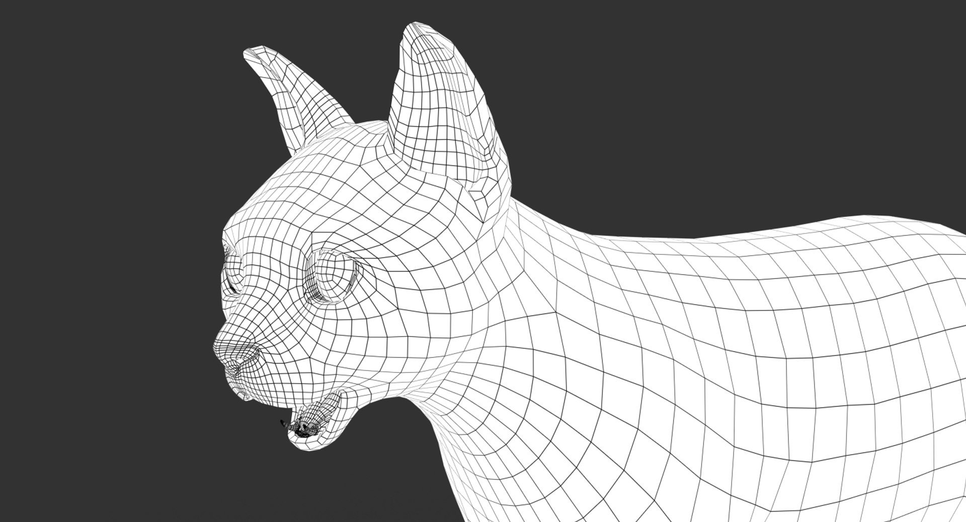 cat rigged fur 2 3D https://p.turbosquid.com/ts-thumb/BK/HxlgBW/wfIFm9p2/wire07/jpg/1531270736/1920x1080/fit_q87/4a5b75913c39d7439ac7c123bd4e01ec63ea738a/wire07.jpg