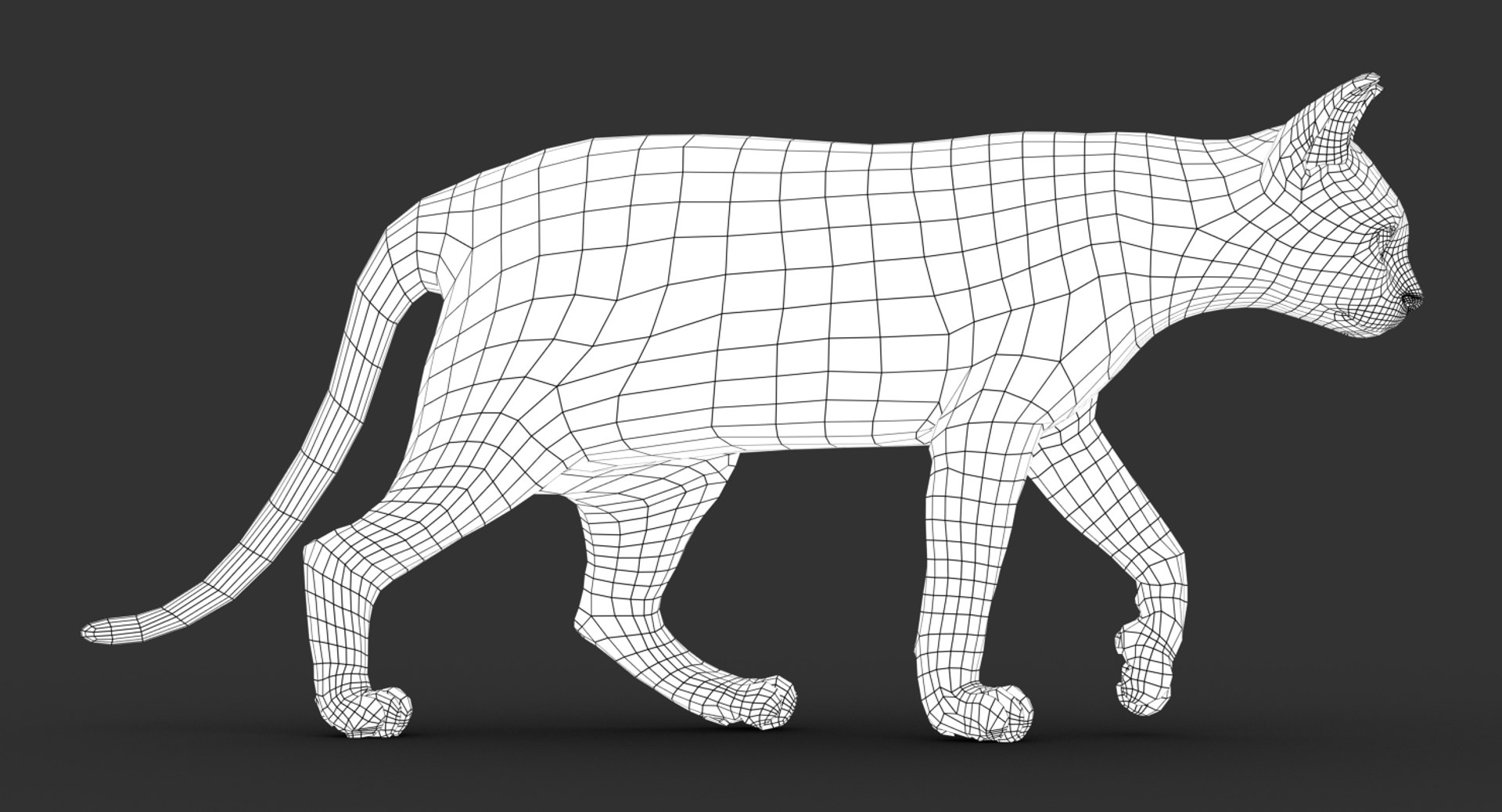 cat rigged fur 2 3D https://p.turbosquid.com/ts-thumb/BK/HxlgBW/wvLIQVSc/wire01/jpg/1531270736/1920x1080/fit_q87/e81dbd0ef1b8df90caf85f1309f72f14a1fd8bb3/wire01.jpg