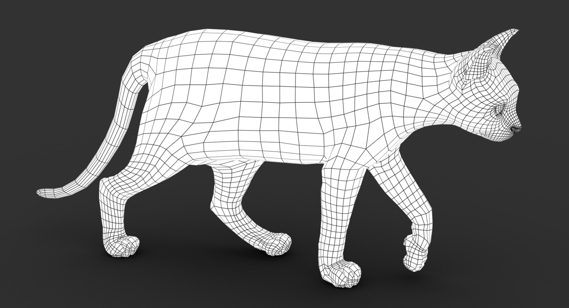 cat rigged fur 2 3D https://p.turbosquid.com/ts-thumb/BK/HxlgBW/wwTr1qSw/wire03/jpg/1531270736/1920x1080/fit_q87/3249ffd37f98e8dc9af7b4b3417e971db81954e5/wire03.jpg