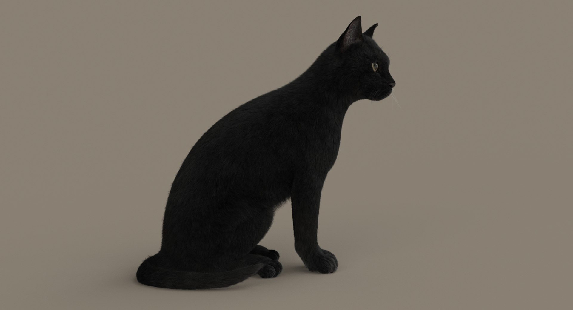 cat rigged fur 2 3D https://p.turbosquid.com/ts-thumb/BK/HxlgBW/xhnJasUq/turn12/jpg/1531272591/1920x1080/fit_q87/92a32f943114d86ed4aa31ad721d543c2fc92296/turn12.jpg