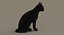 Gato (2) (preto) (RIG) (FUR)