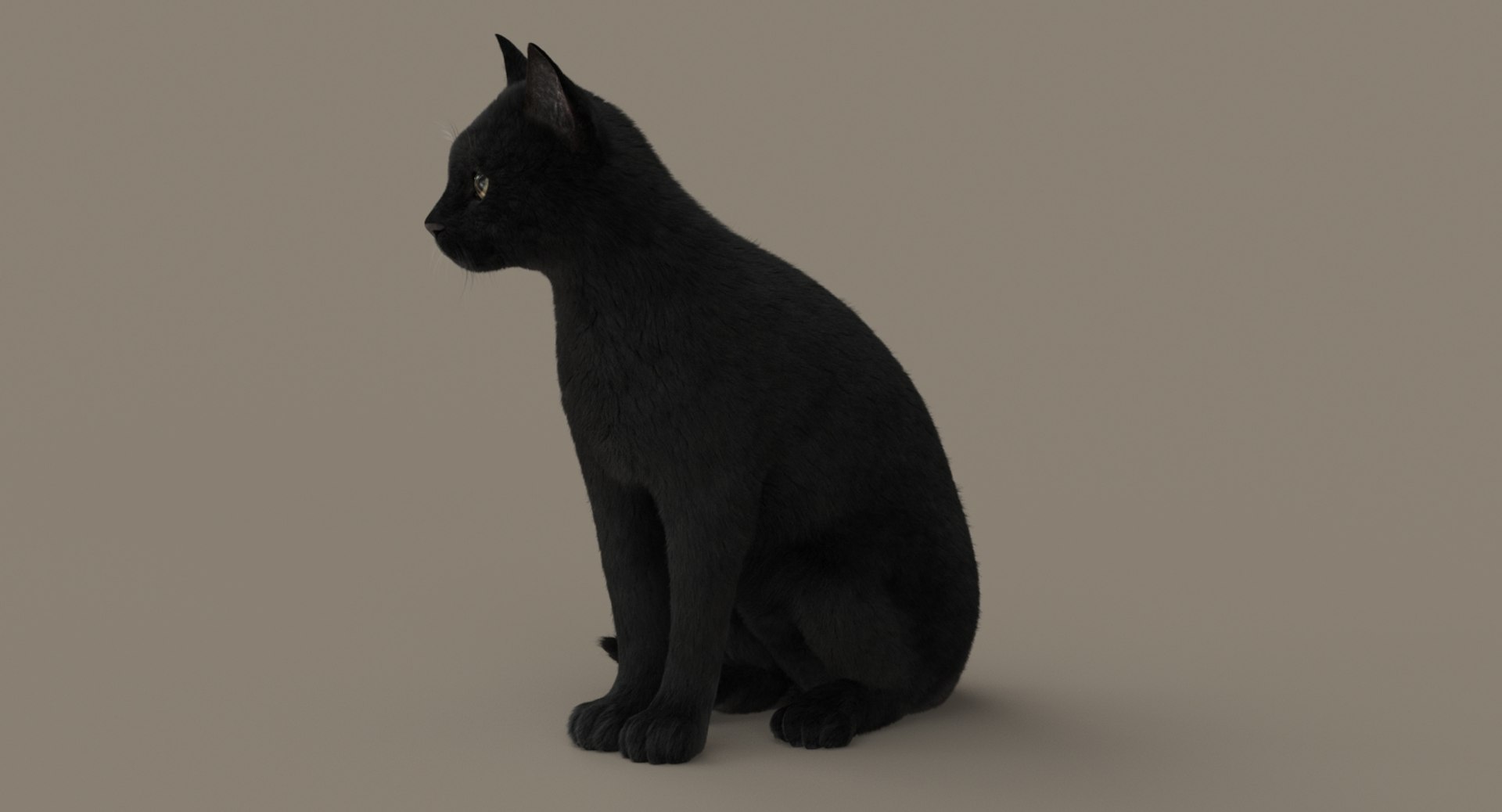cat rigged fur 2 3D https://p.turbosquid.com/ts-thumb/BK/HxlgBW/yiv2XEzj/turn34/jpg/1531270085/1920x1080/fit_q87/a64fed9658744dd6c283f2ada49d3919208c59b1/turn34.jpg
