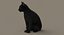 Gato (2) (preto) (RIG) (FUR)