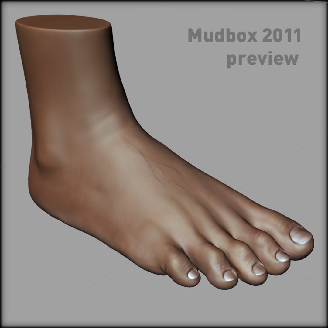 human foot 3d model https://p.turbosquid.com/ts-thumb/BK/IRYKU6/FYIxLwc8/presentation_turbosquid_images_18/jpg/1288969597/1920x1080/fit_q87/1af7c83d0b2a572f59bb44ce1aa1be89818fccfa/presentation_turbosquid_images_18.jpg