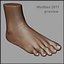 human foot 3d model
