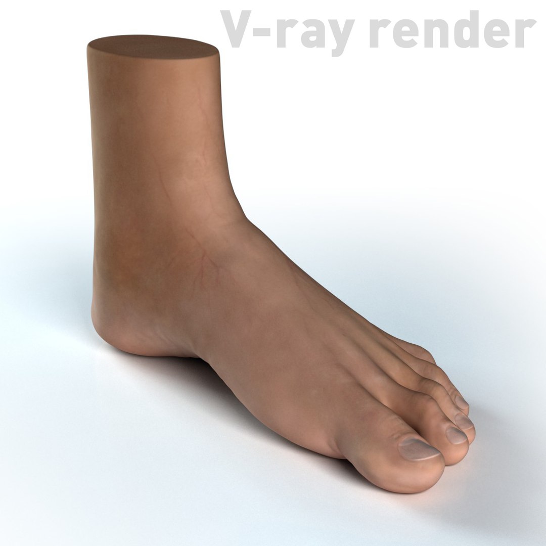 Human Foot 3d Model