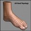 human foot 3d model