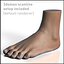 Foot Human