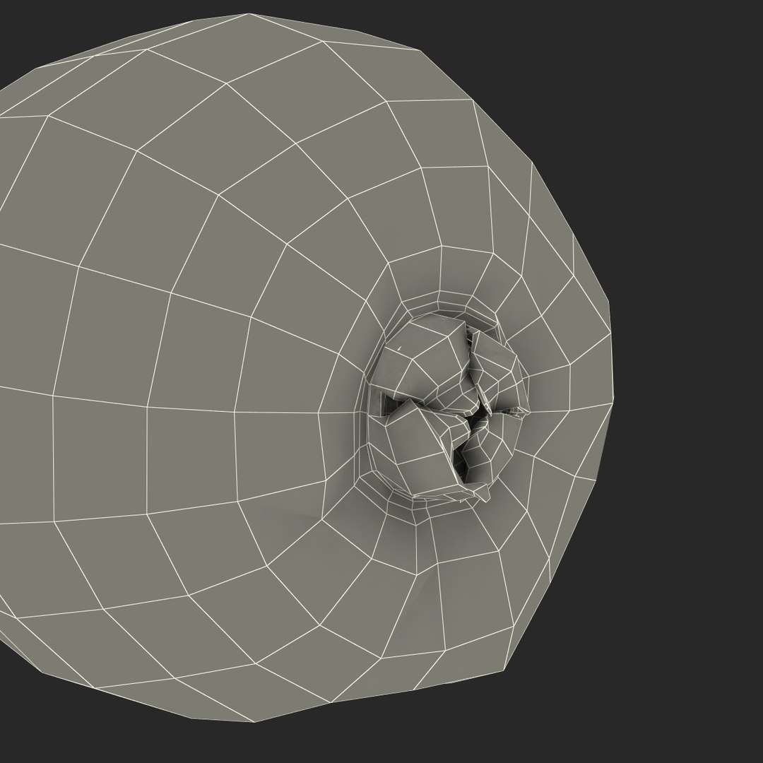 3d model kiwi modeled https://p.turbosquid.com/ts-thumb/BK/KmK6G4/0RGWHgcv/kiwi3dmodel22/jpg/1424532358/1920x1080/fit_q87/8ef031b31d17f3933411eae17be34128559aedde/kiwi3dmodel22.jpg