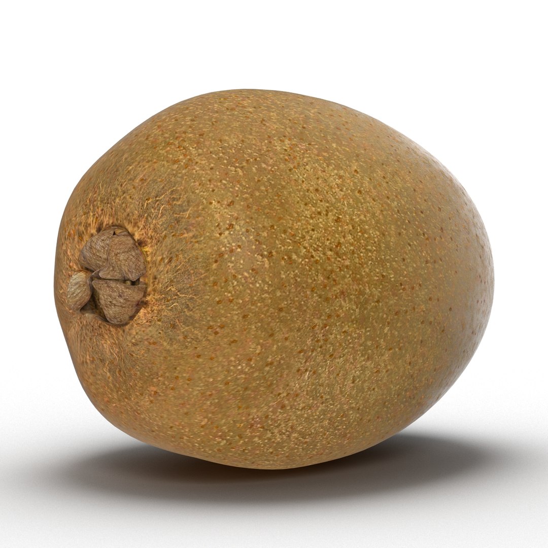 3d model kiwi modeled https://p.turbosquid.com/ts-thumb/BK/KmK6G4/8LBz5ncI/kiwi3dmodel03/jpg/1424532357/1920x1080/fit_q87/526fde54675b0388a22f6efad39affe01fa949b5/kiwi3dmodel03.jpg