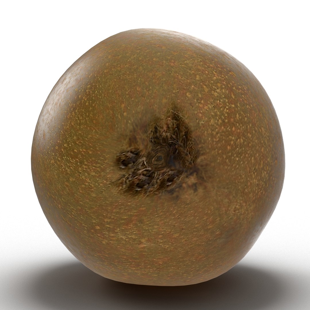3d model kiwi modeled https://p.turbosquid.com/ts-thumb/BK/KmK6G4/BvKszySx/kiwi3dmodel08/jpg/1424532357/1920x1080/fit_q87/fce71752bba4824bffc68639208ca1823de45631/kiwi3dmodel08.jpg